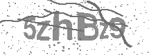 visual captcha